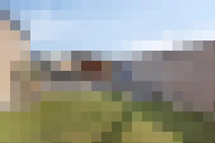 Goldbergsingel 24 Leek thumbnail 22