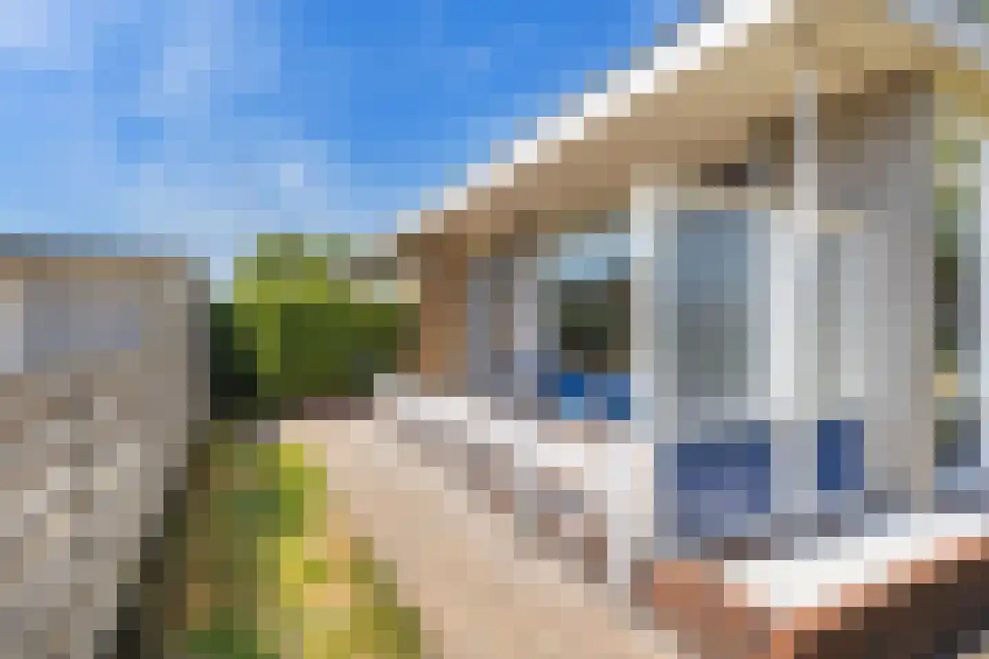 Goldbergsingel 51 Leek thumbnail 32