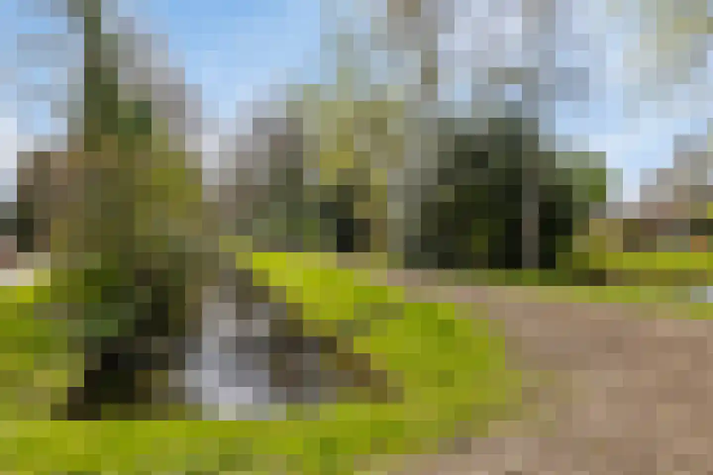 Goldbergsingel 61 Leek thumbnail 51