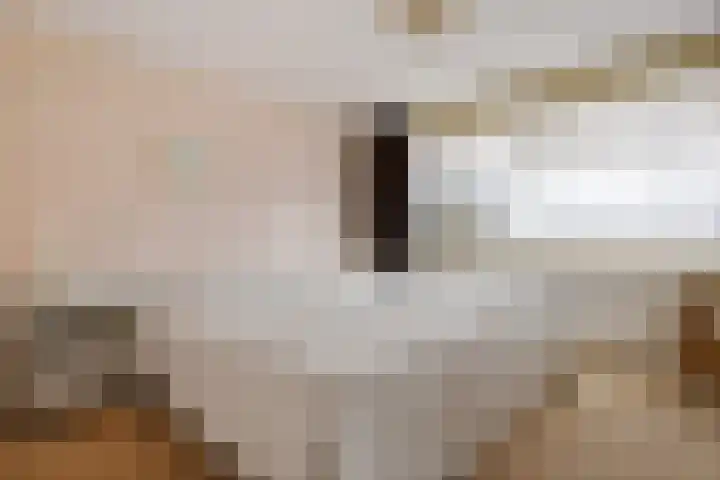 Goldbergsingel 68 Leek thumbnail 20