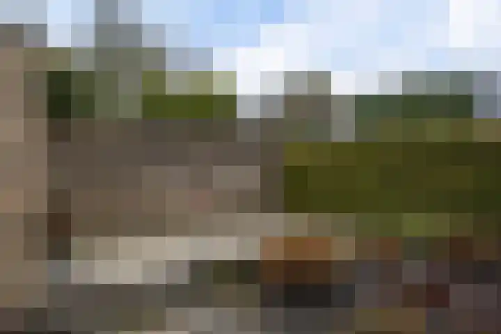 Goldbergsingel 68 Leek thumbnail 41