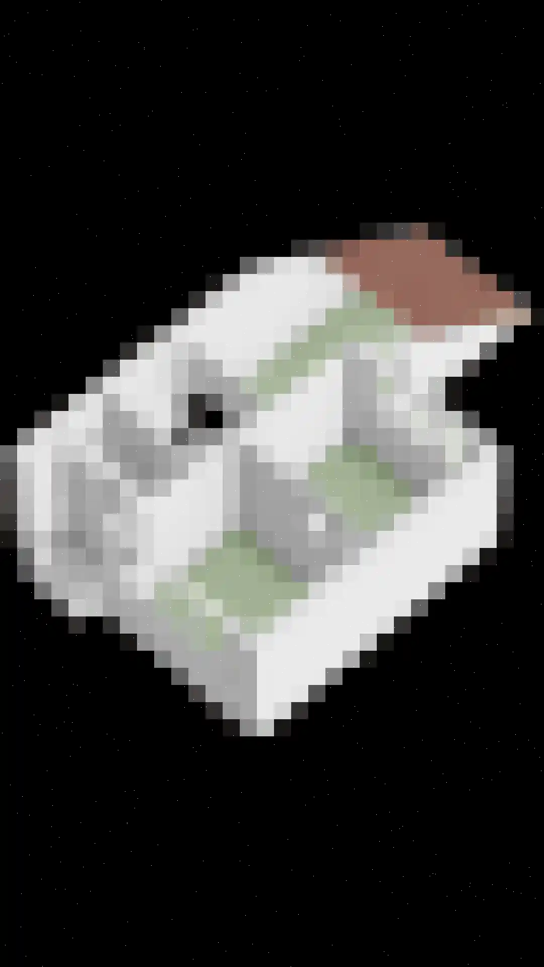 Goldbergsingel 86 Leek thumbnail 32