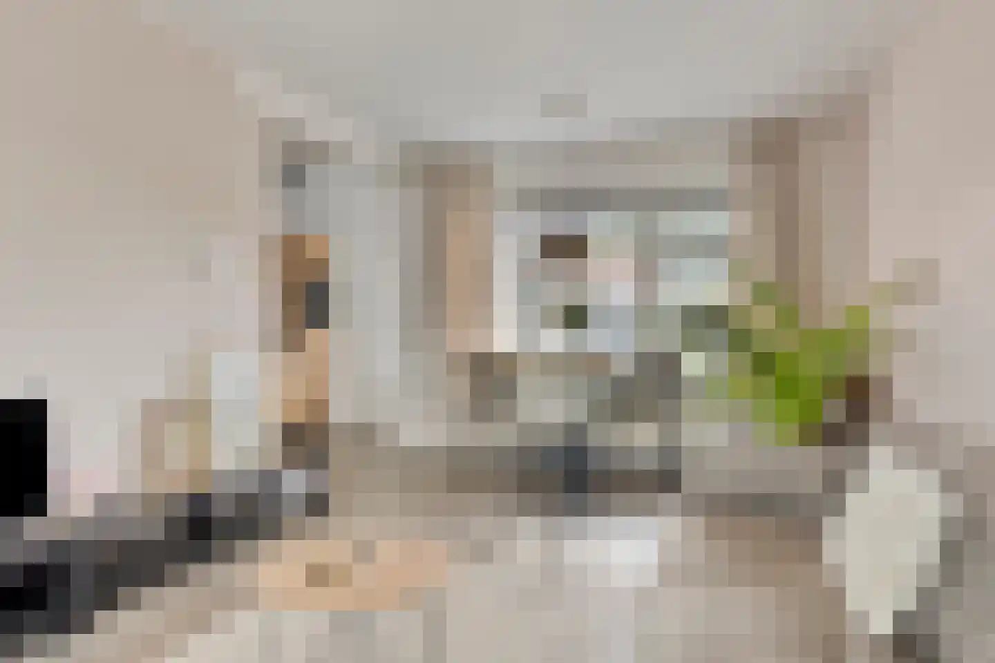 Goldbergsingel 86 Leek thumbnail 5