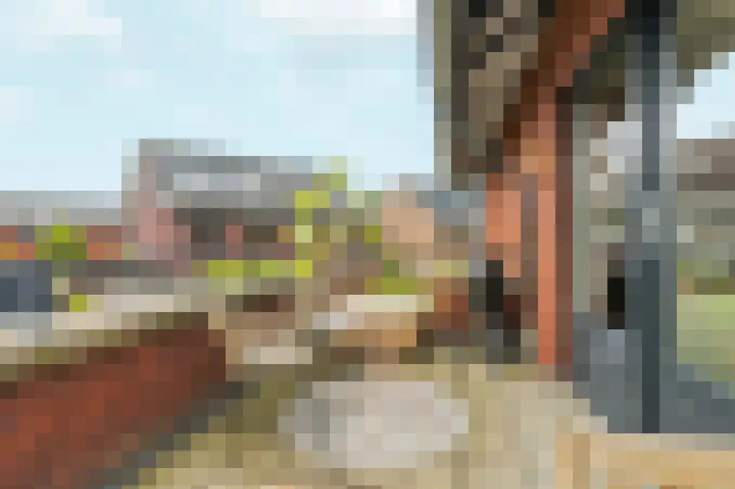 Golden Champion 6 Huissen thumbnail 14