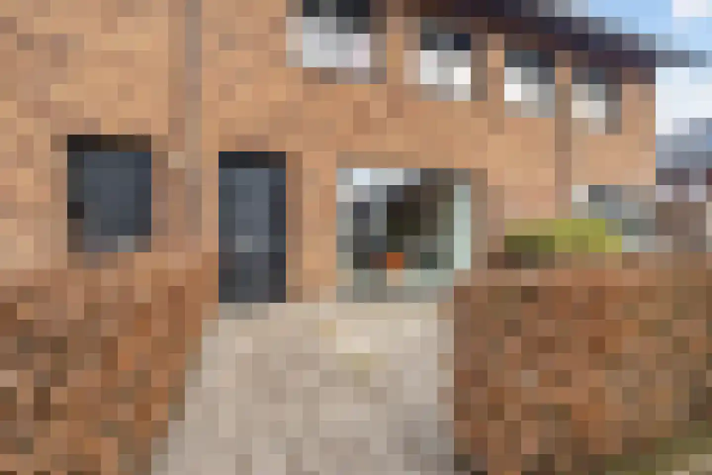 Golden Champion 9 Huissen thumbnail 21