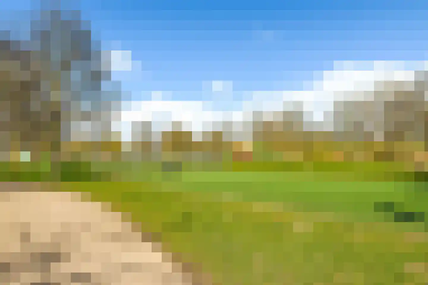 Golden Champion 9 Huissen thumbnail 30