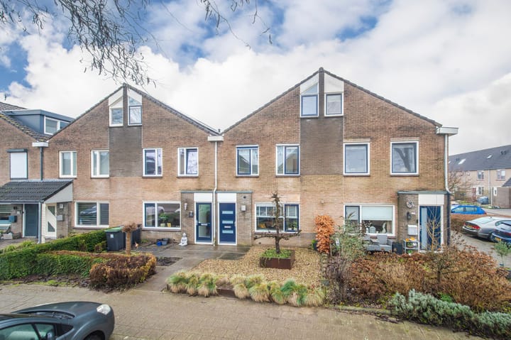 Golden Delicious 107 en Duiven foto