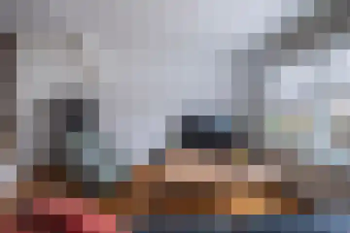 Golden Delicious 107 Duiven thumbnail 12