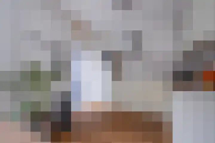 Golden Delicious 107 Duiven thumbnail 17