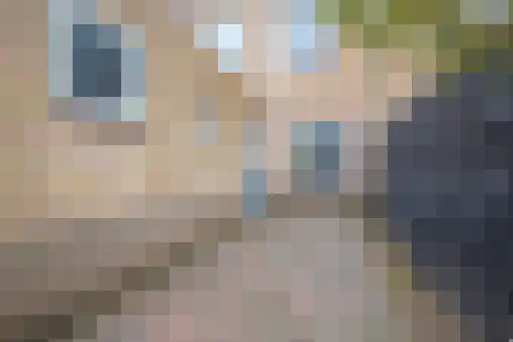 Golden Delicious 107 Duiven thumbnail 19