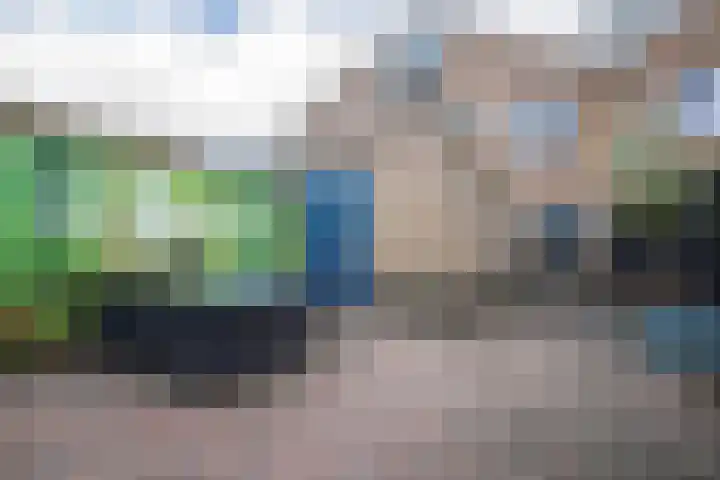 Golden Delicious 107 Duiven thumbnail 20