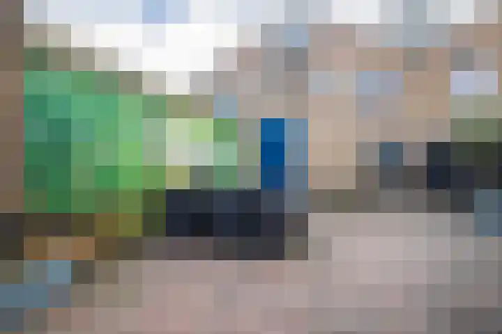 Golden Delicious 107 Duiven thumbnail 21