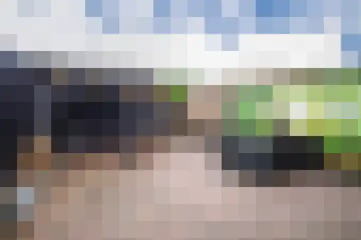 Golden Delicious 107 Duiven thumbnail 22
