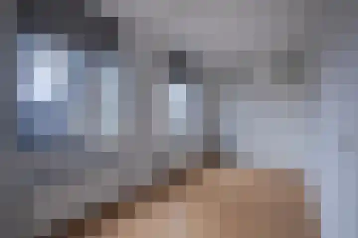 Golden Delicious 107 Duiven thumbnail 26