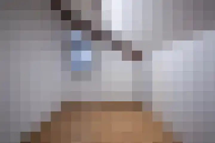 Golden Delicious 107 Duiven thumbnail 31