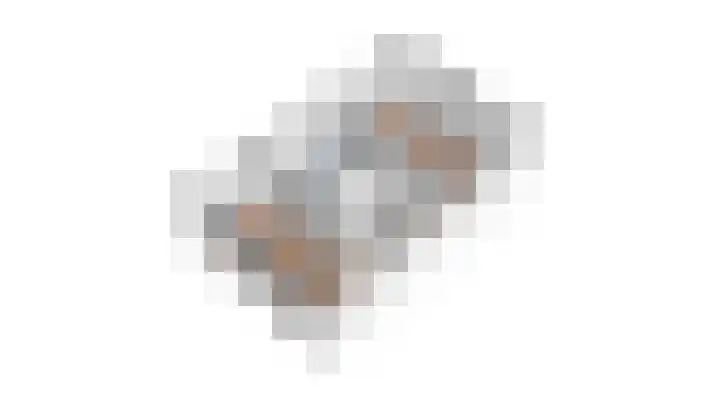 Golden Delicious 107 Duiven thumbnail 39