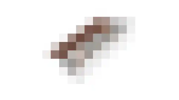 Golden Delicious 107 Duiven thumbnail 42