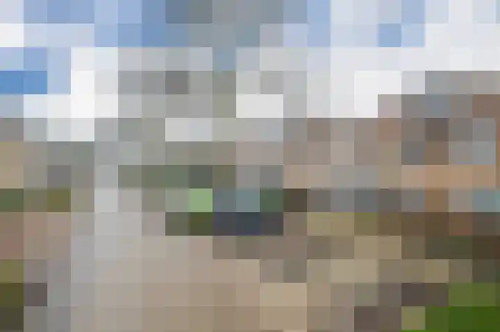 Golden Delicious 107 Duiven thumbnail 5