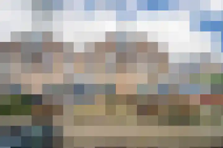 Golden Delicious 107 Duiven thumbnail 6
