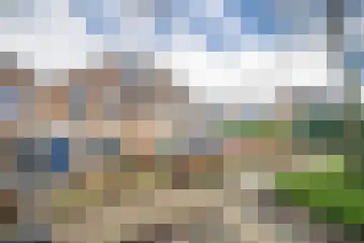 Golden Delicious 107 Duiven thumbnail 7