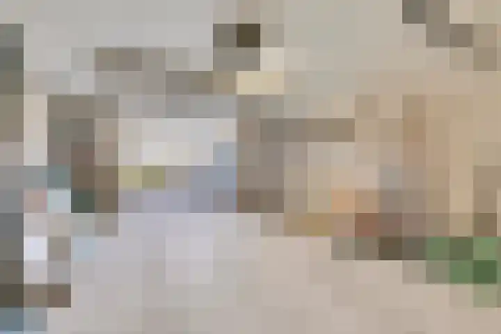 Golden Delicious 108 Duiven thumbnail 15
