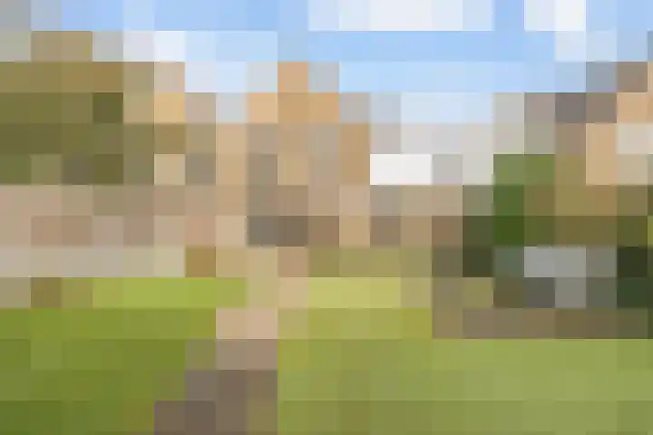 Golden Delicious 108 Duiven thumbnail 34