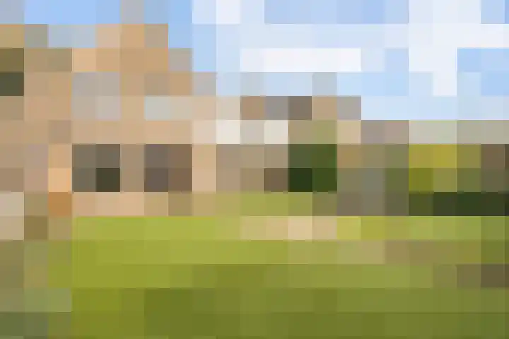 Golden Delicious 108 Duiven thumbnail 35