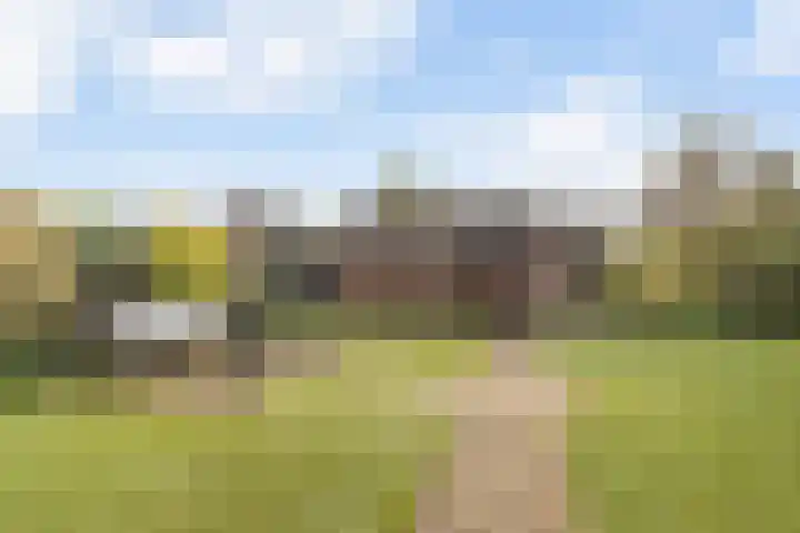 Golden Delicious 108 Duiven thumbnail 37