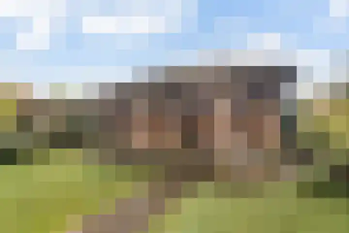 Golden Delicious 108 Duiven thumbnail 38