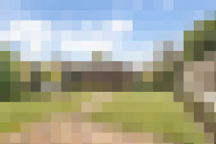 Golden Delicious 108 Duiven thumbnail 39