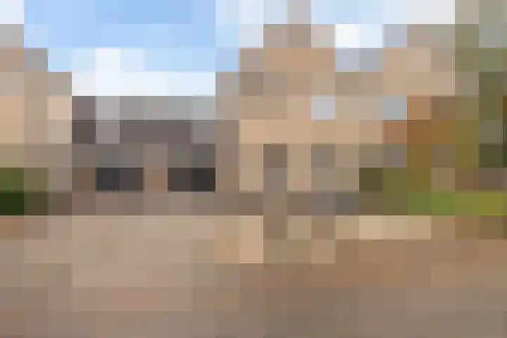 Golden Delicious 108 Duiven thumbnail 41