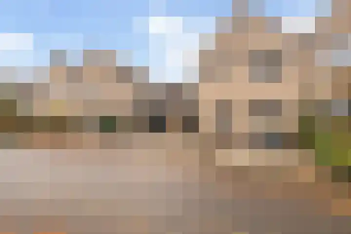 Golden Delicious 108 Duiven thumbnail 42