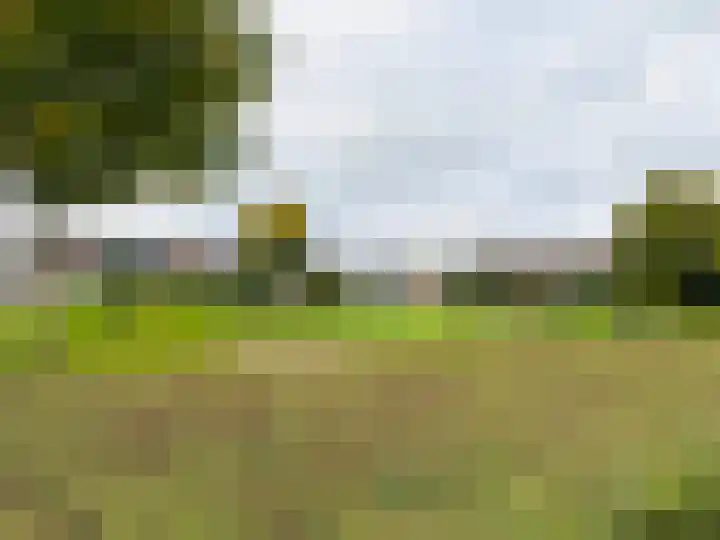 Golden Delicious 108 Duiven thumbnail 44
