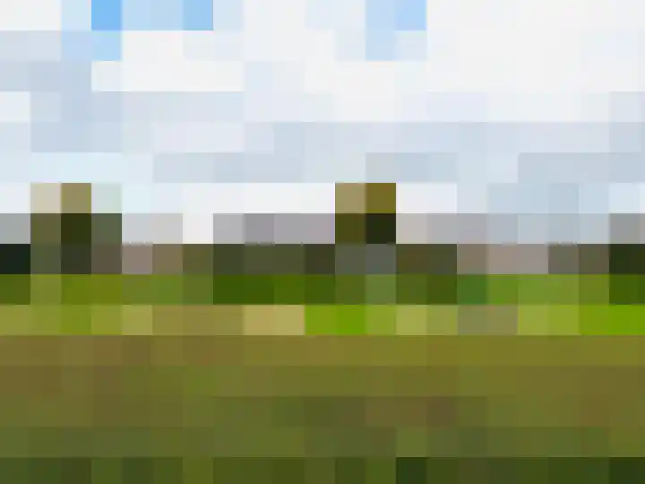 Golden Delicious 108 Duiven thumbnail 45