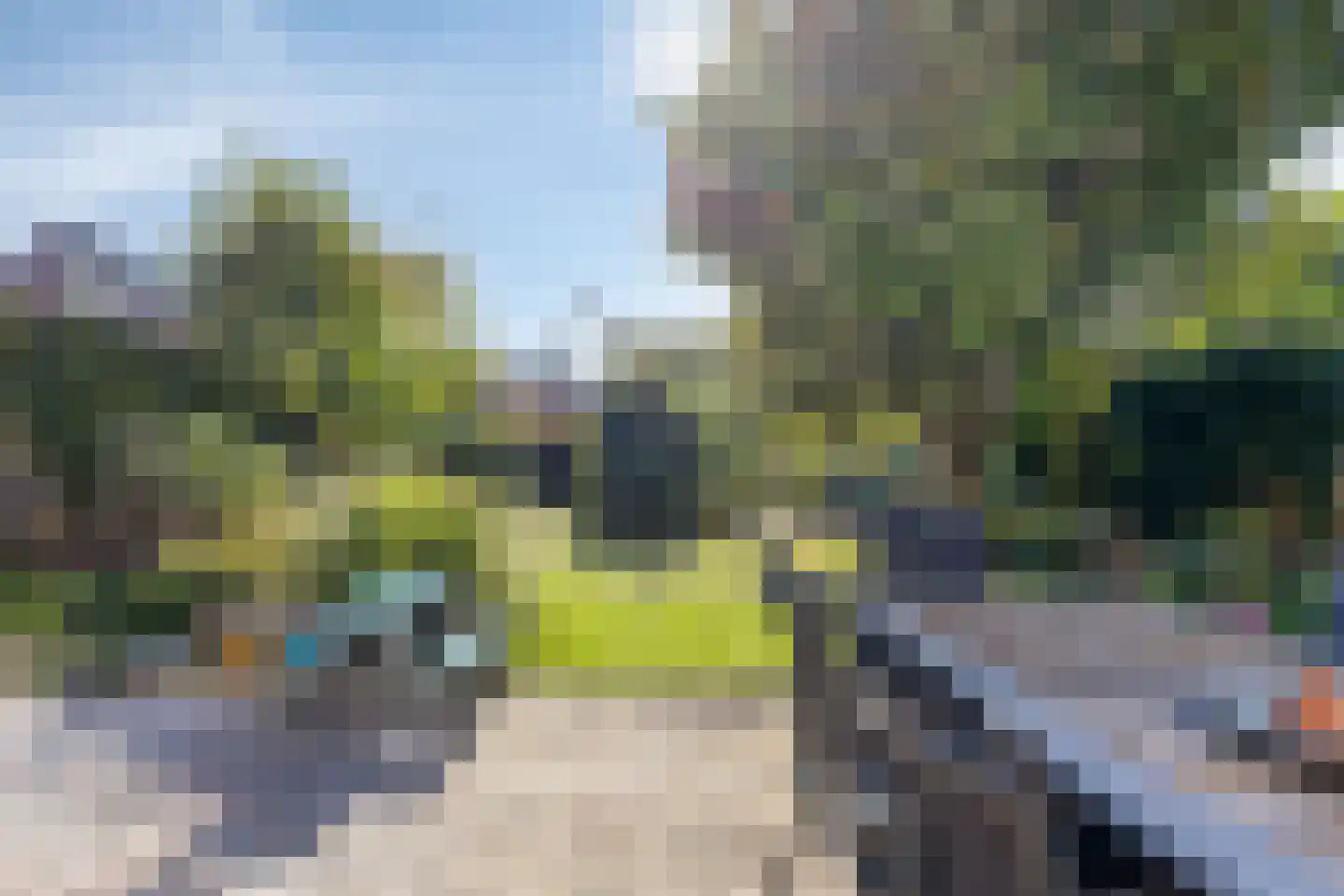 Golden Delicious 134 Duiven thumbnail 56