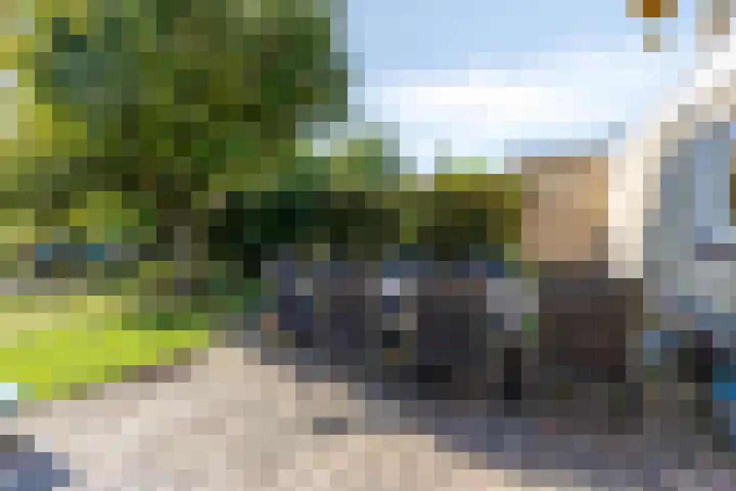 Golden Delicious 134 Duiven thumbnail 57