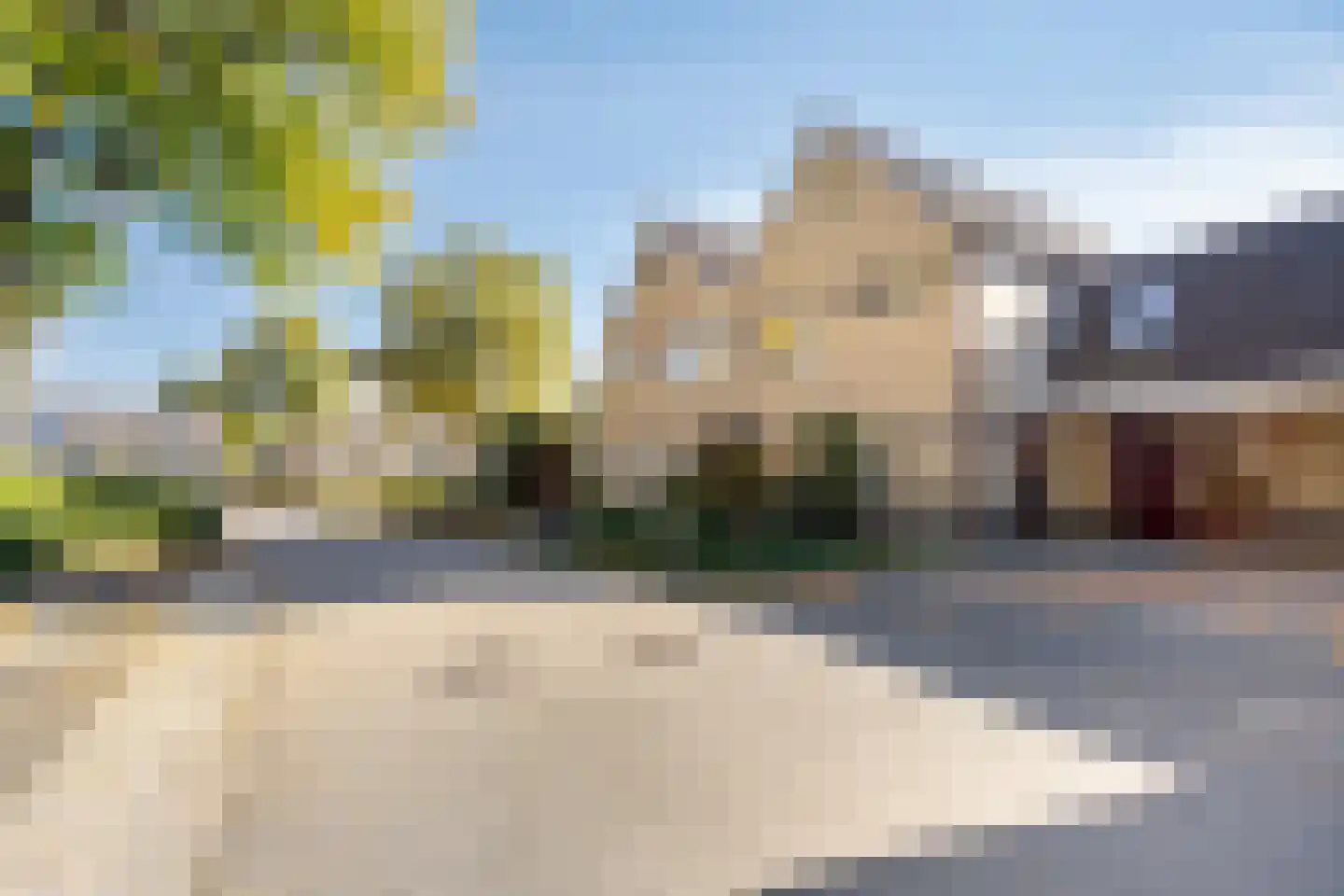 Golden Delicious 134 Duiven thumbnail 6