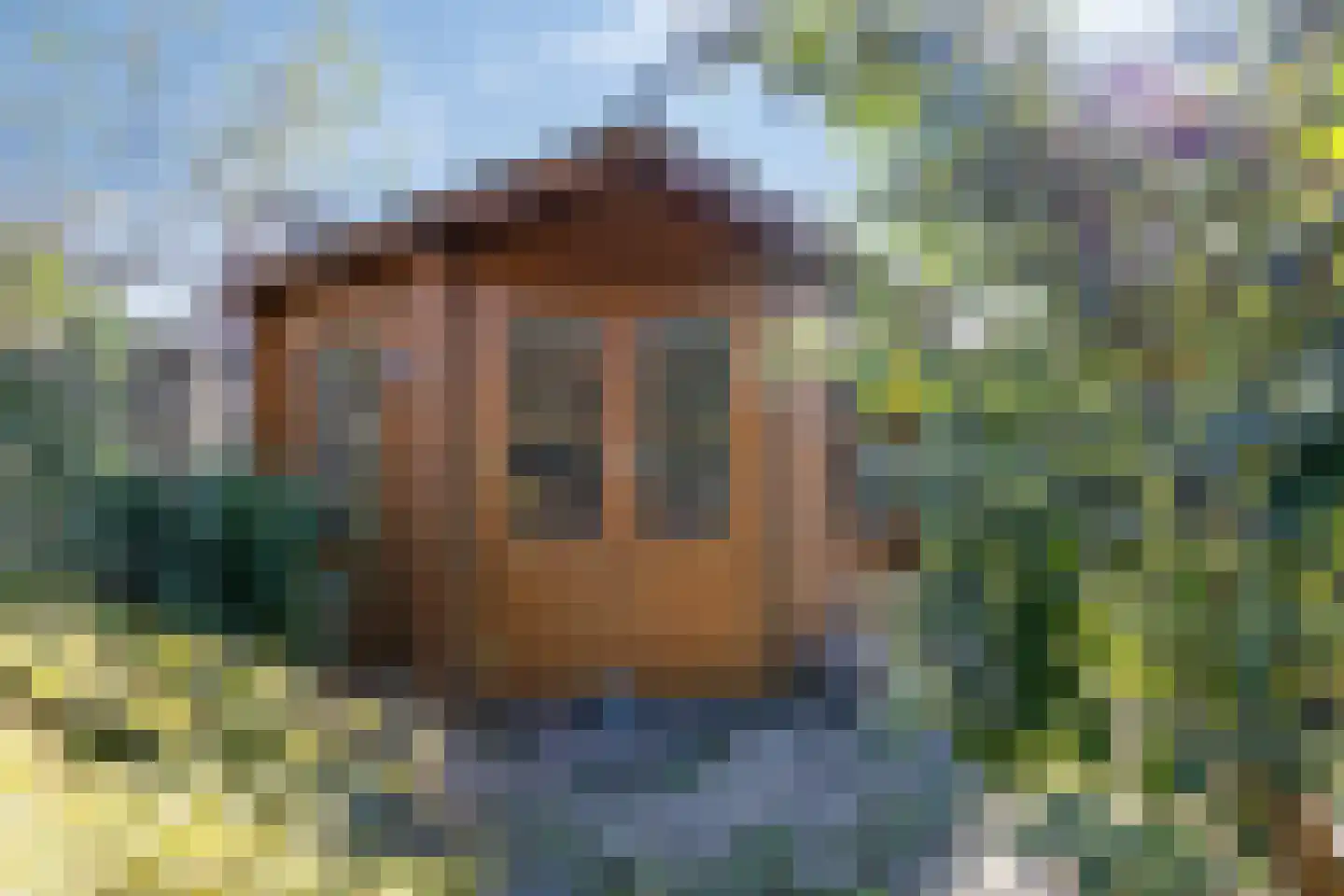 Golden Delicious 134 Duiven thumbnail 66