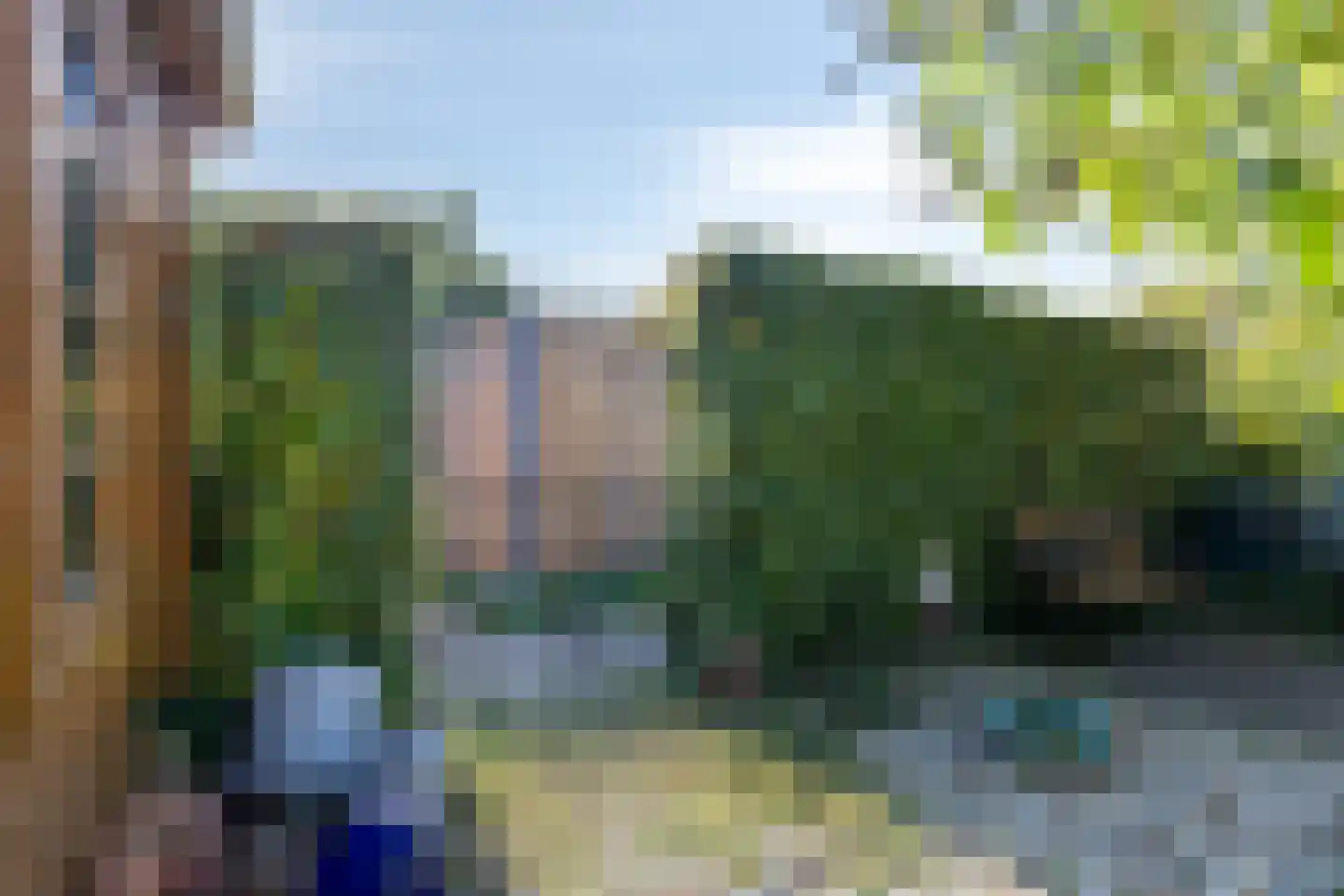 Golden Delicious 134 Duiven thumbnail 67