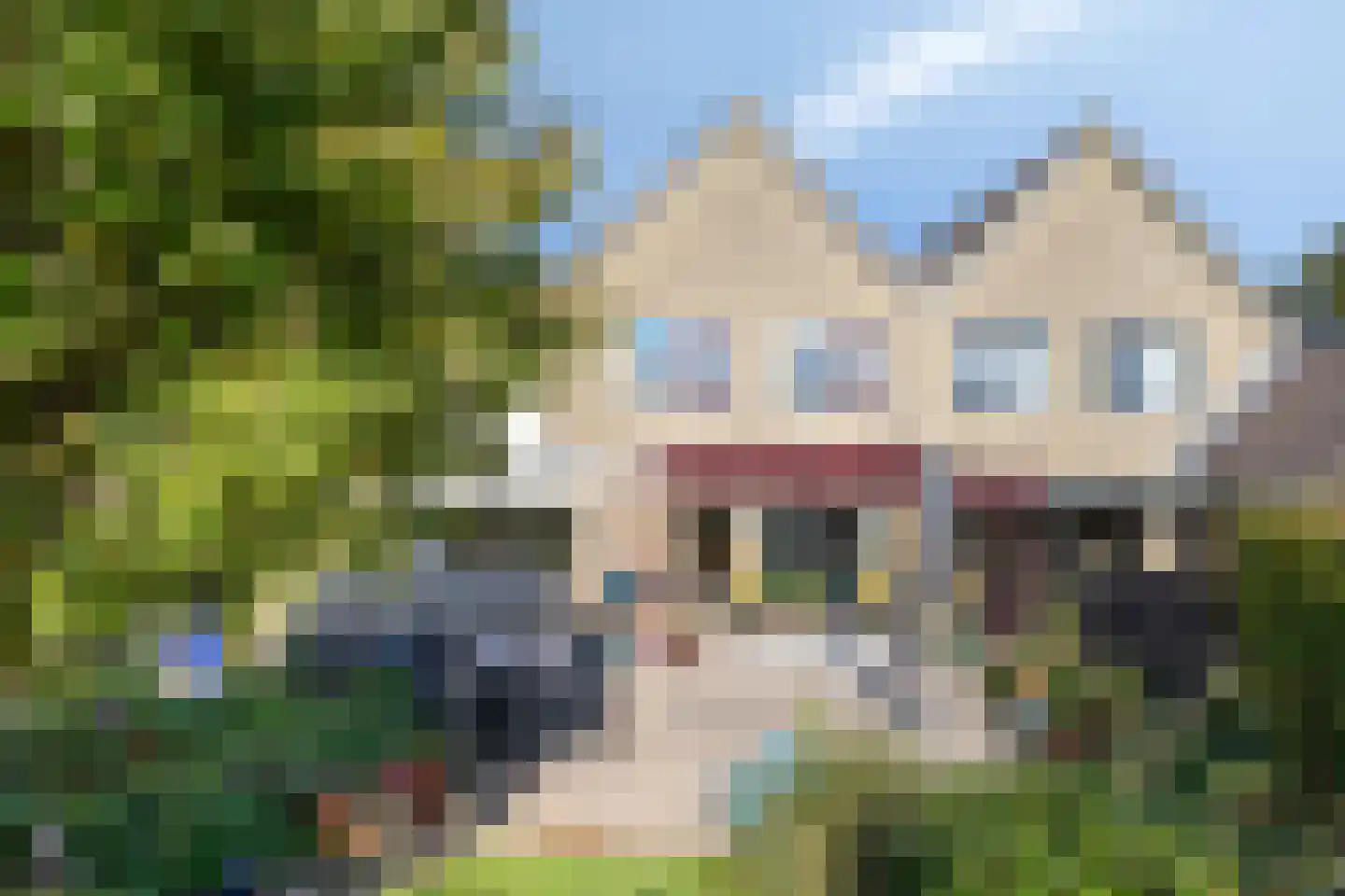 Golden Delicious 134 Duiven thumbnail 69