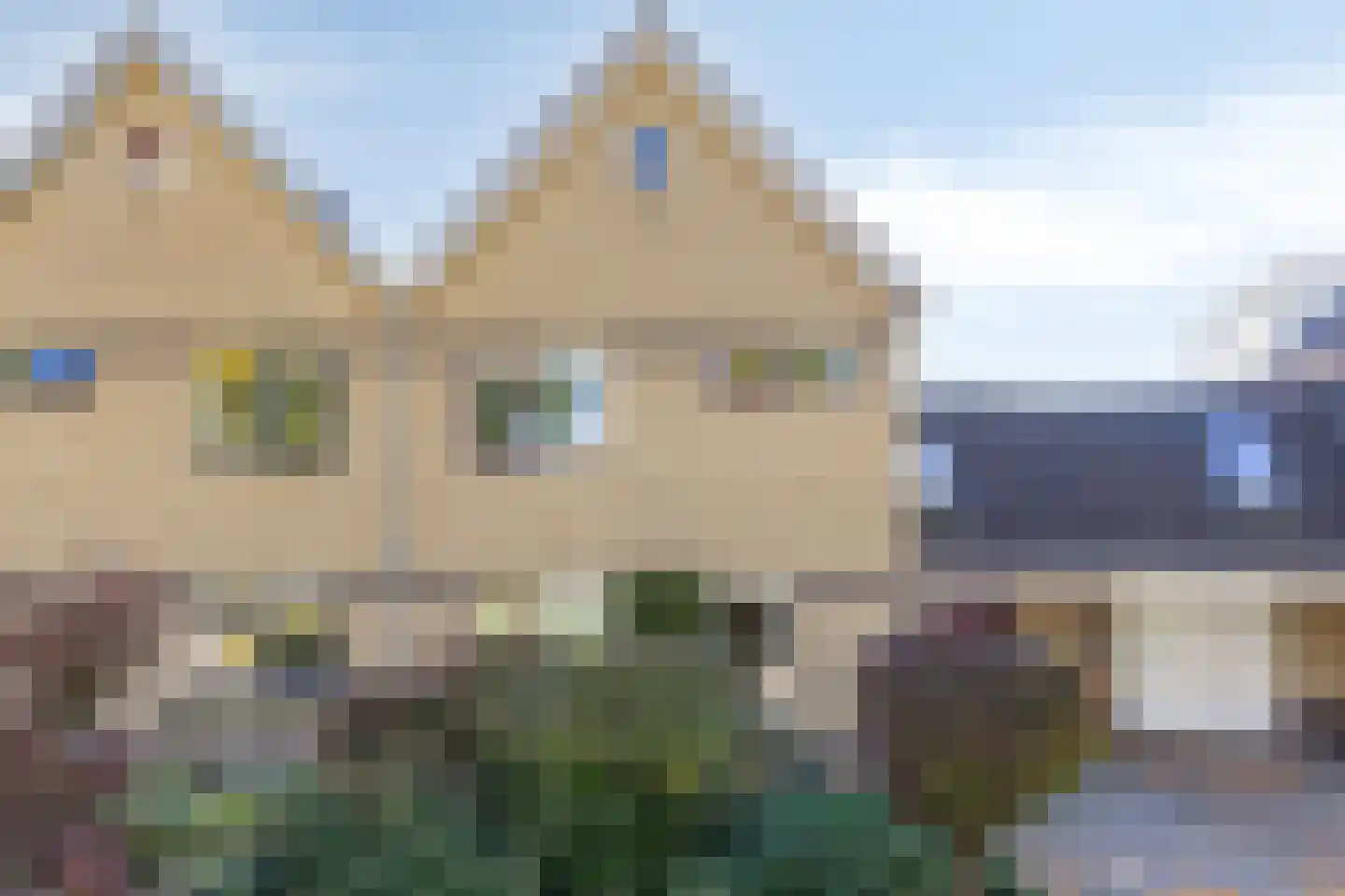Golden Delicious 134 Duiven thumbnail 7