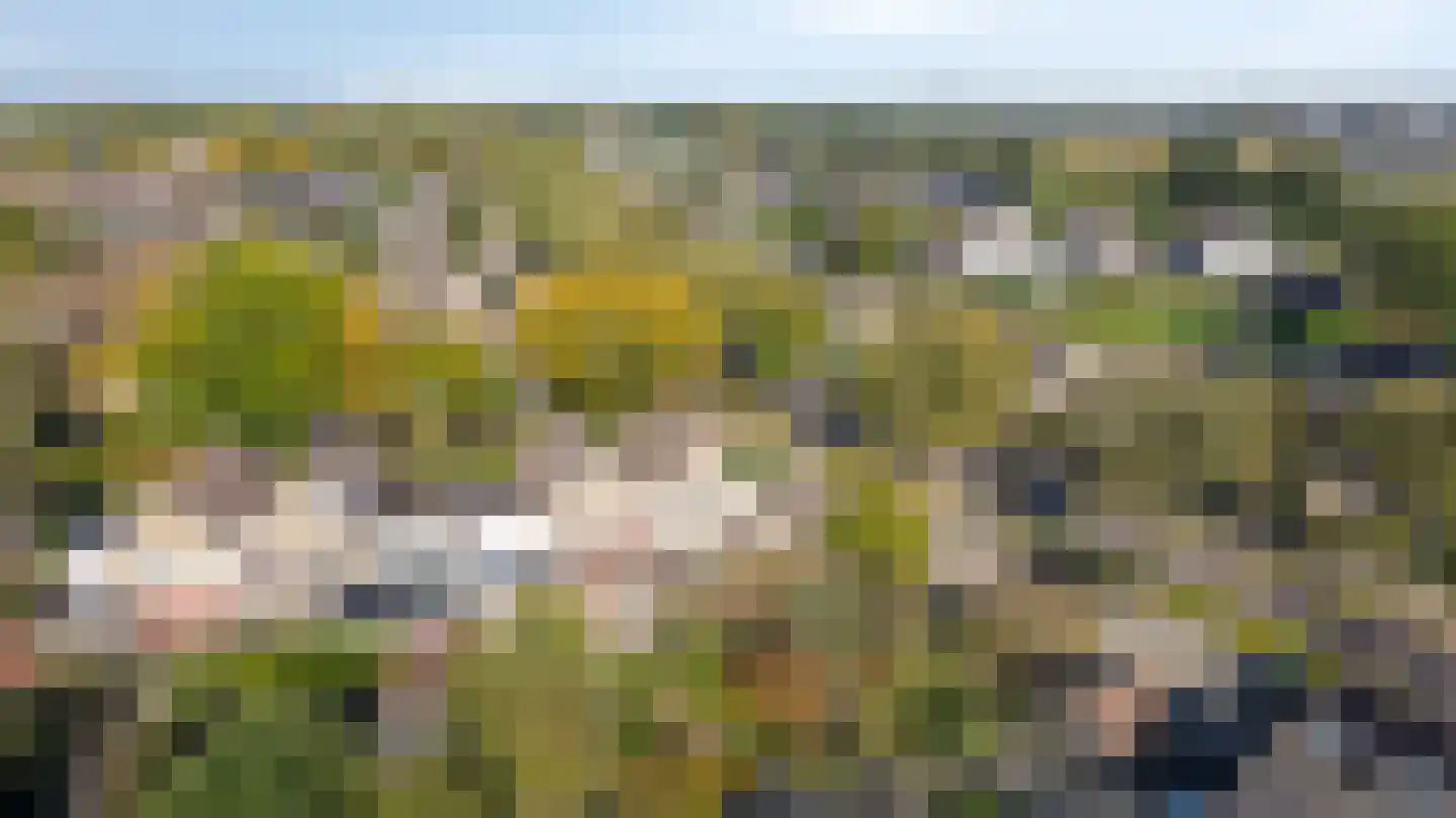 Golden Delicious 134 Duiven thumbnail 71