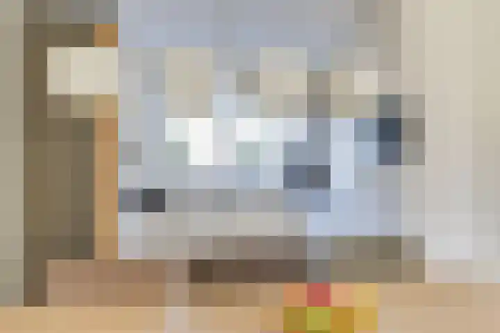 Golden Delicious 33 Duiven thumbnail 15