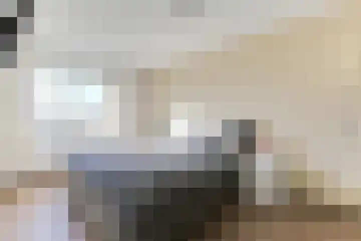 Golden Delicious 33 Duiven thumbnail 20