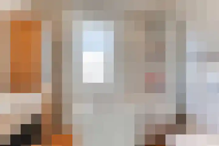 Golden Delicious 33 Duiven thumbnail 25