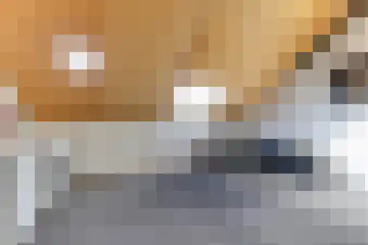 Golden Delicious 33 Duiven thumbnail 29