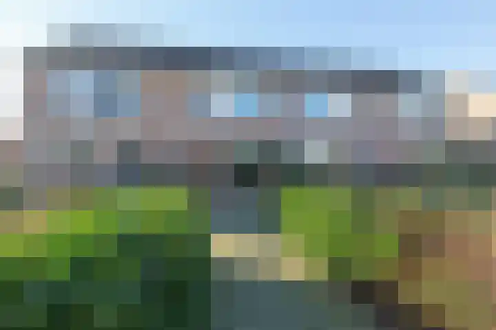 Golden Delicious 33 Duiven thumbnail 5