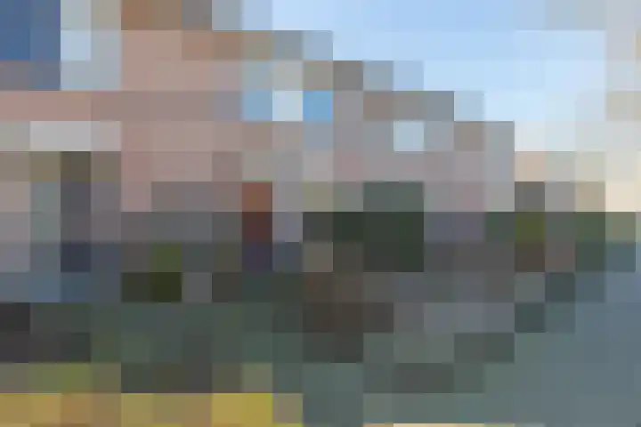 Golden Delicious 33 Duiven thumbnail 6