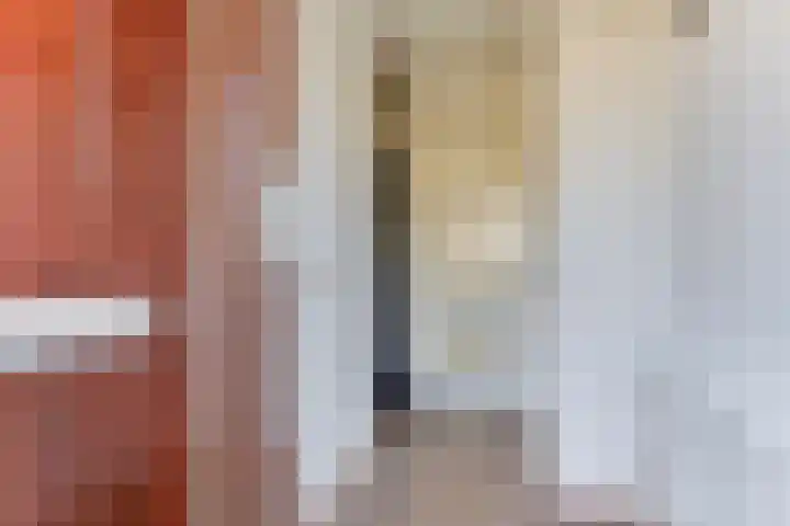 Golden Delicious 33 Duiven thumbnail 7