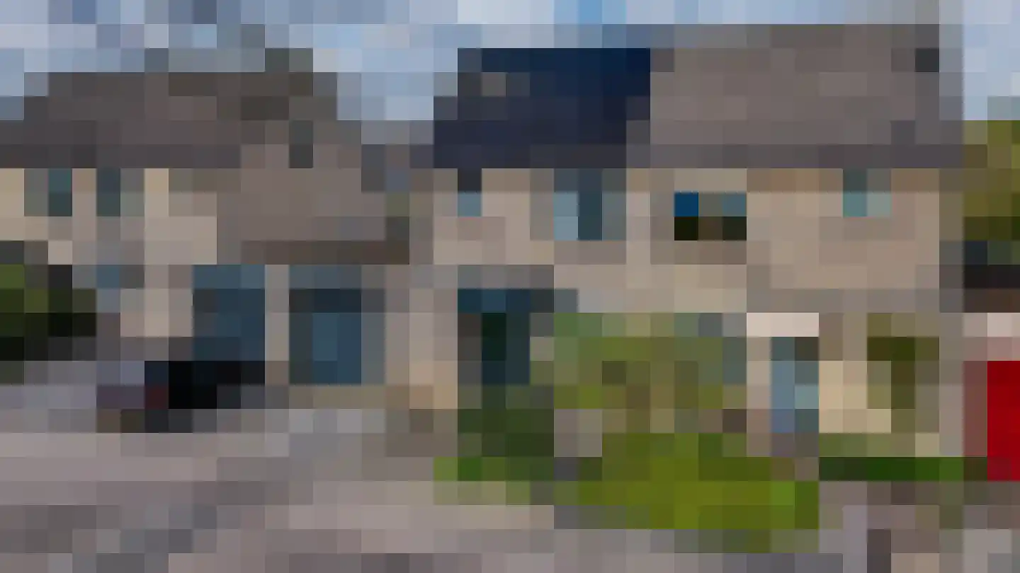 Golden Delicious 40 in Duiven